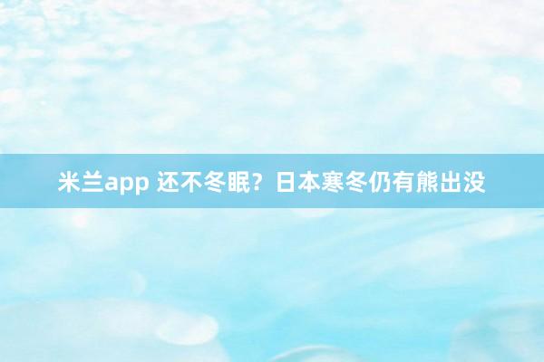 米兰app 还不冬眠?日本寒冬仍有熊出没