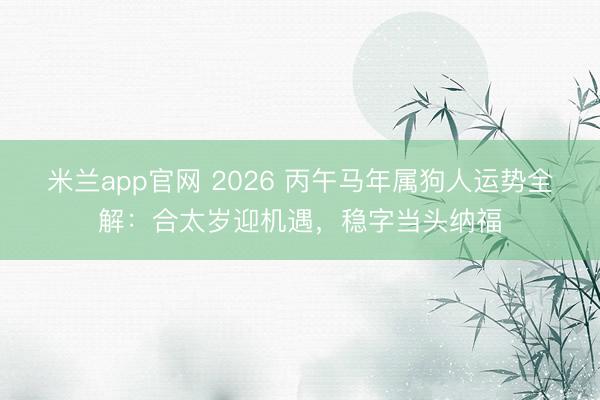 米兰app官网 2026 丙午马年属狗人运势全解：合太岁迎机遇，稳字当头纳福