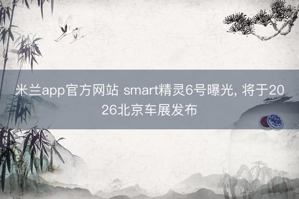 米兰app官方网站 smart精灵6号曝光, 将于2026北京车展发布