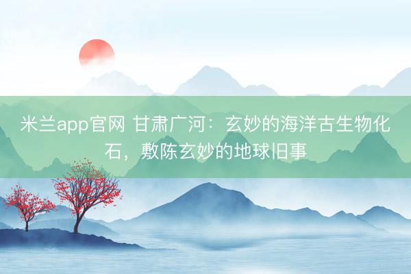米兰app官网 甘肃广河：玄妙的海洋古生物化石，敷陈玄妙的地球旧事