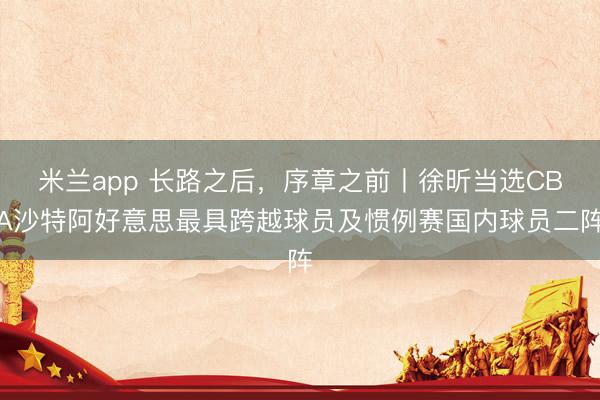 米兰app 长路之后，序章之前丨徐昕当选CBA沙特阿好意思最具跨越球员及惯例赛国内球员二阵