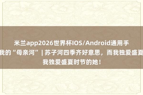 米兰app2026世界杯IOS/Android通用手机版下载 我的“母亲河” | 苏子河四季齐好意思，而我独爱盛夏时节的她！