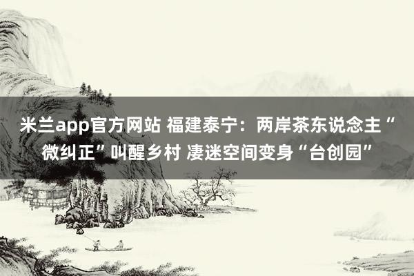 米兰app官方网站 福建泰宁：两岸茶东说念主“微纠正”叫醒乡村 凄迷空间变身“台创园”