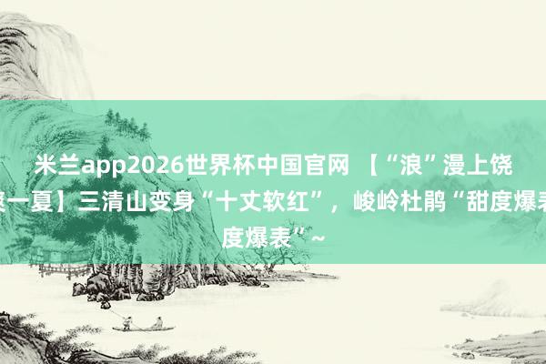 米兰app2026世界杯中国官网 【“浪”漫上饶 凉爽一夏】三清山变身“十丈软红”，峻岭杜鹃“甜度爆表”~