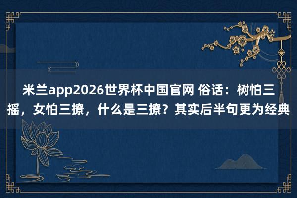 米兰app2026世界杯中国官网 俗话：树怕三摇，女怕三撩，什么是三撩？其实后半句更为经典