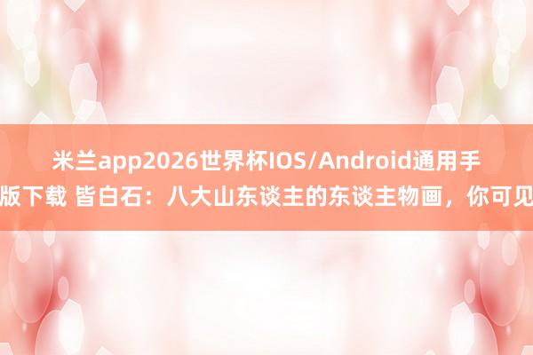 米兰app2026世界杯IOS/Android通用手机版下载 皆白石：八大山东谈主的东谈主物画，你可见过