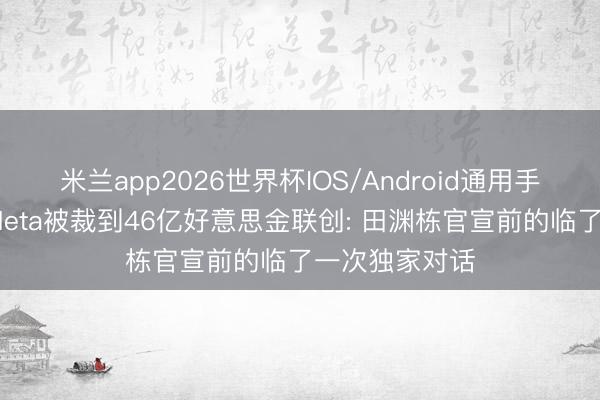 米兰app2026世界杯IOS/Android通用手机版下载 从Meta被裁到46亿好意思金联创: 田渊栋官宣前的临了一次独家对话