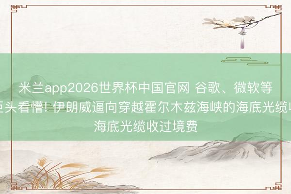 米兰app2026世界杯中国官网 谷歌、微软等好意思巨头看懵! 伊朗威逼向穿越霍尔木兹海峡的海底光缆收过境费